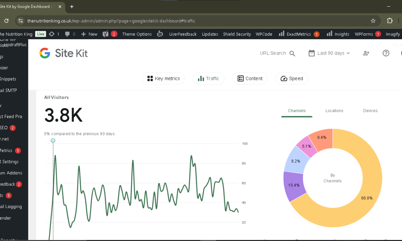 The Nutrition King visitor traffic results